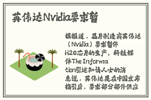 国产精品一区在线观看